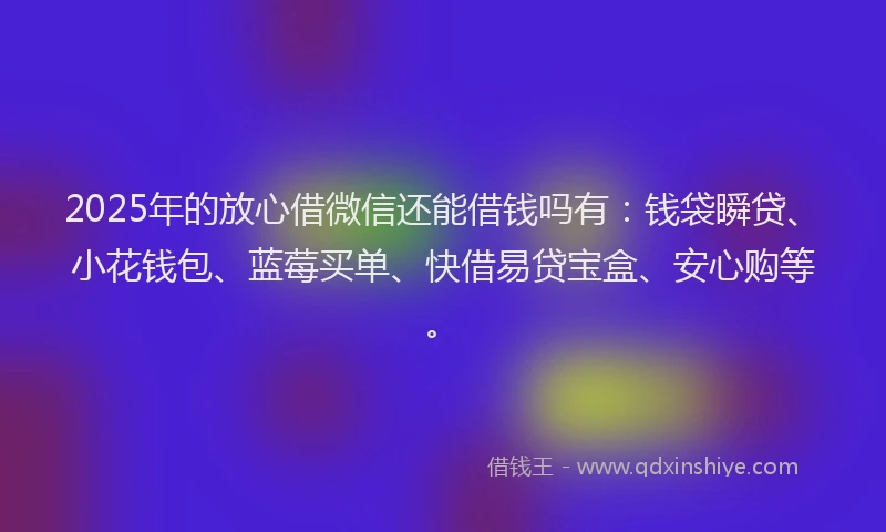 2025年的放心借微信还能借钱吗有：钱袋瞬贷、小花钱包、蓝莓买单、快借易贷宝盒、安心购等。