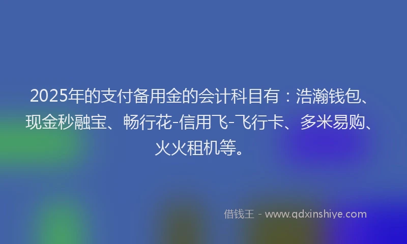 2025年的支付备用金的会计科目有：浩瀚钱包、现金秒融宝、畅行花-信用飞-飞行卡、多米易购、火火租机等。