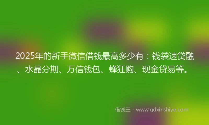 2025年的新手微信借钱最高多少有：钱袋速贷融、水晶分期、万信钱包、蜂狂购、现金贷易等。