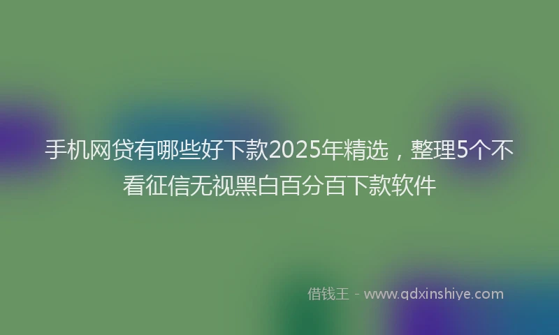 手机网贷有哪些好下款2025年精选，整理5个不看征信无视黑白百分百下款软件