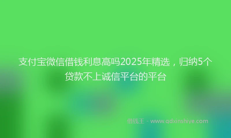 支付宝微信借钱利息高吗2025年精选，归纳5个贷款不上诚信平台的平台