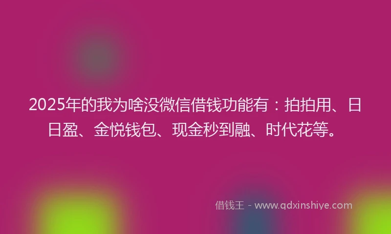 2025年的我为啥没微信借钱功能有：拍拍用、日日盈、金悦钱包、现金秒到融、时代花等。