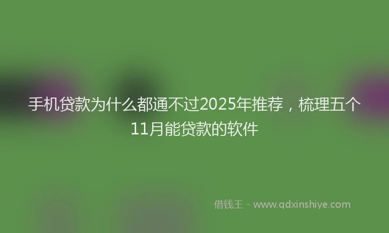 手机贷款为什么都通不过2025年推荐，梳理五个11月能贷款的软件