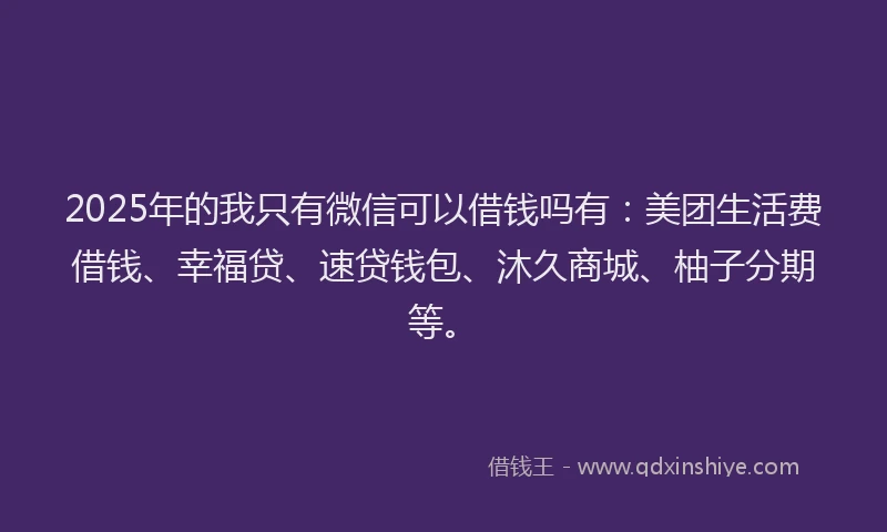 2025年的我只有微信可以借钱吗有：美团生活费借钱、幸福贷、速贷钱包、沐久商城、柚子分期等。