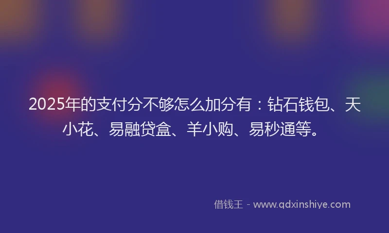 2025年的支付分不够怎么加分有：钻石钱包、天小花、易融贷盒、羊小购、易秒通等。