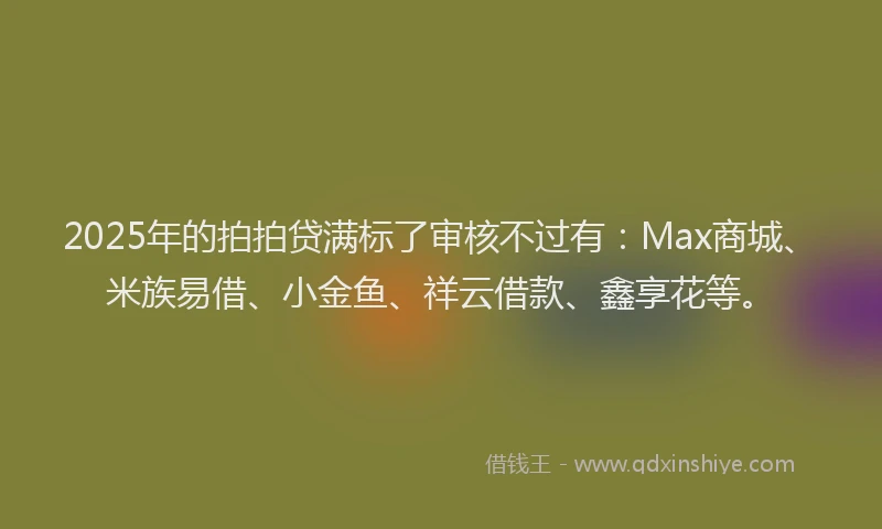 2025年的拍拍贷满标了审核不过有：Max商城、米族易借、小金鱼、祥云借款、鑫享花等。