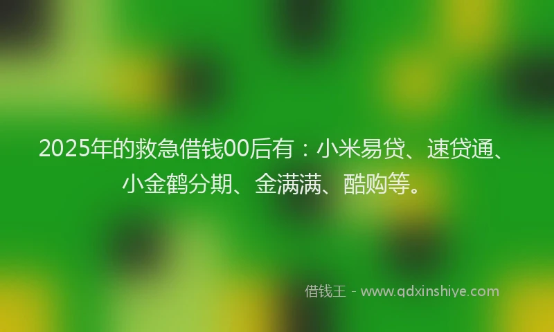 2025年的救急借钱00后有：小米易贷、速贷通、小金鹤分期、金满满、酷购等。