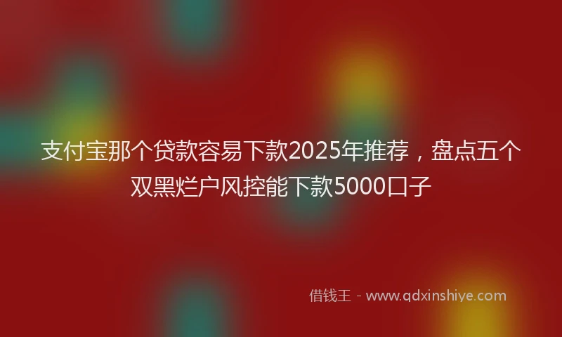 支付宝那个贷款容易下款2025年推荐，盘点五个双黑烂户风控能下款5000口子