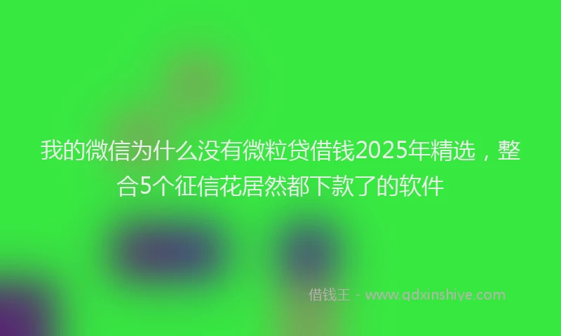我的微信为什么没有微粒贷借钱2025年精选，整合5个征信花居然都下款了的软件
