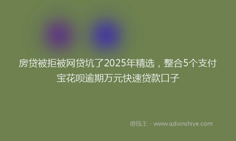 房贷被拒被网贷坑了2025年精选，整合5个支付宝花呗逾期万元快速贷款口子