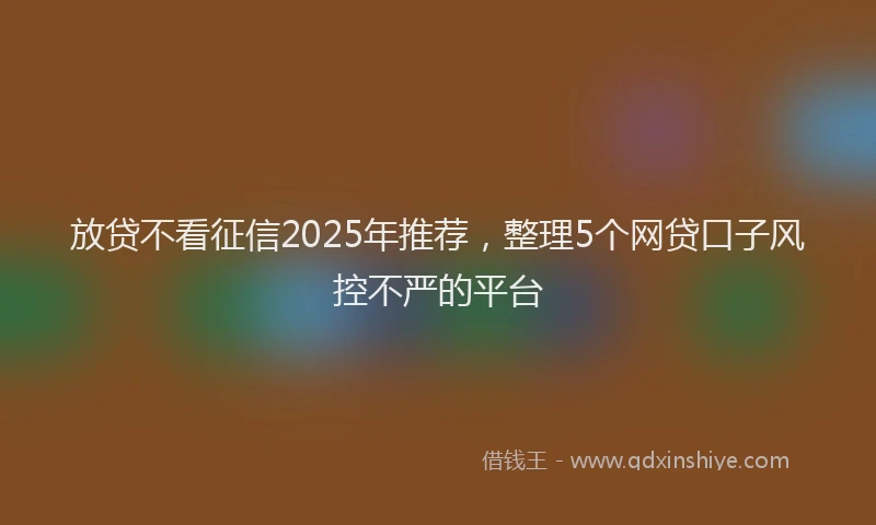放贷不看征信2025年推荐，整理5个网贷口子风控不严的平台