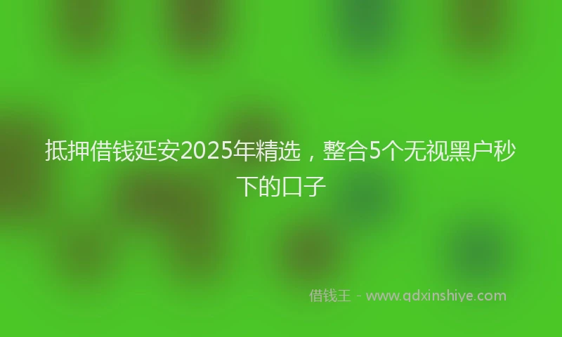 抵押借钱延安2025年精选，整合5个无视黑户秒下的口子