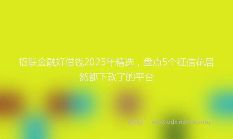 招联金融好借钱2025年精选，盘点5个征信花居然都下款了的平台