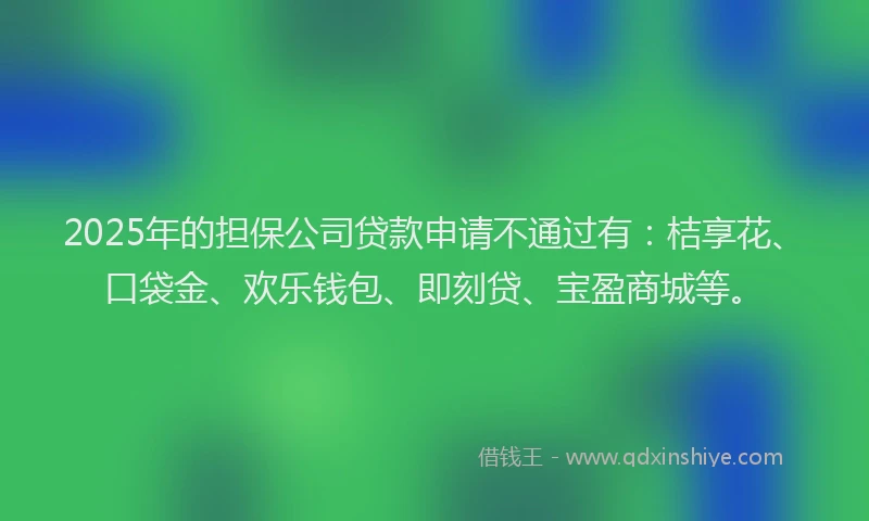 2025年的担保公司贷款申请不通过有：桔享花、口袋金、欢乐钱包、即刻贷、宝盈商城等。