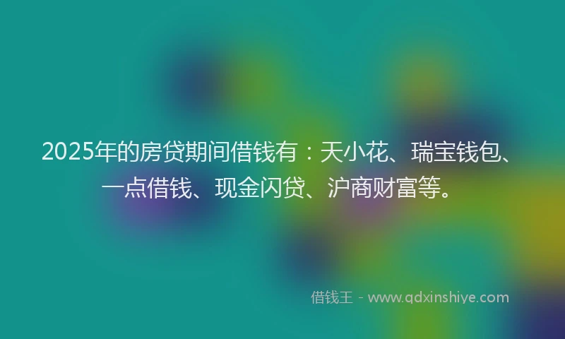 2025年的房贷期间借钱有：天小花、瑞宝钱包、一点借钱、现金闪贷、沪商财富等。