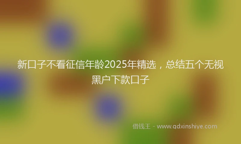 新口子不看征信年龄2025年精选，总结五个无视黑户下款口子