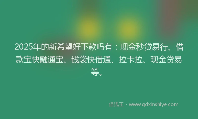 2025年的新希望好下款吗有：现金秒贷易行、借款宝快融通宝、钱袋快借通、拉卡拉、现金贷易等。