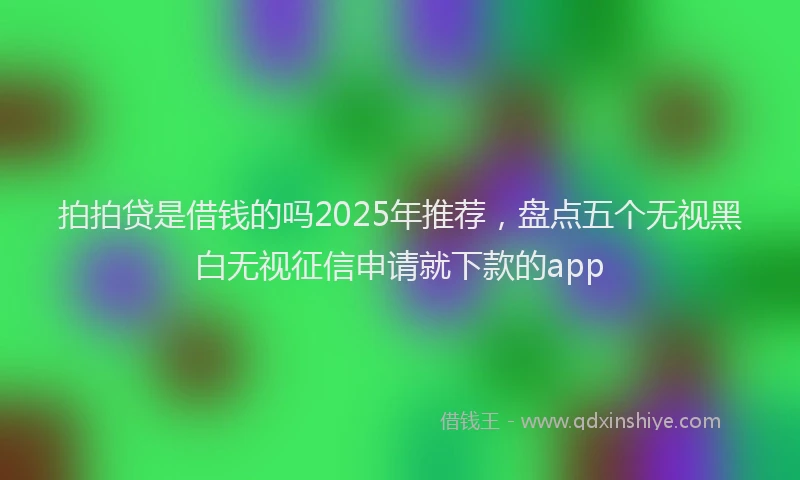 拍拍贷是借钱的吗2025年推荐，盘点五个无视黑白无视征信申请就下款的app