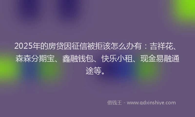 2025年的房贷因征信被拒该怎么办有：吉祥花、森森分期宝、鑫融钱包、快乐小租、现金易融通途等。