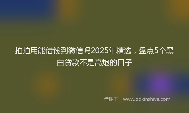 拍拍用能借钱到微信吗2025年精选，盘点5个黑白贷款不是高炮的口子
