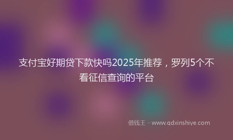 支付宝好期贷下款快吗2025年推荐，罗列5个不看征信查询的平台