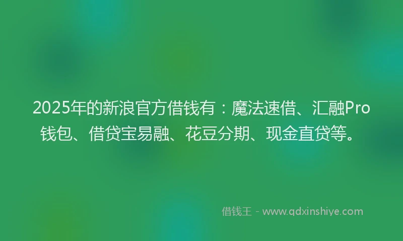 2025年的新浪官方借钱有：魔法速借、汇融Pro钱包、借贷宝易融、花豆分期、现金直贷等。