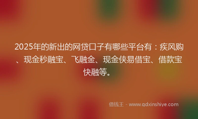 2025年的新出的网贷口子有哪些平台有：疾风购、现金秒融宝、飞融金、现金侠易借宝、借款宝快融等。