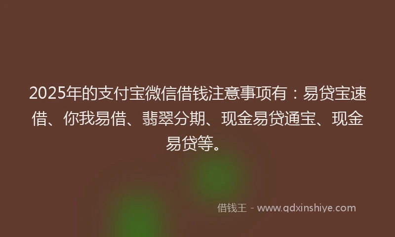 2025年的支付宝微信借钱注意事项有：易贷宝速借、你我易借、翡翠分期、现金易贷通宝、现金易贷等。