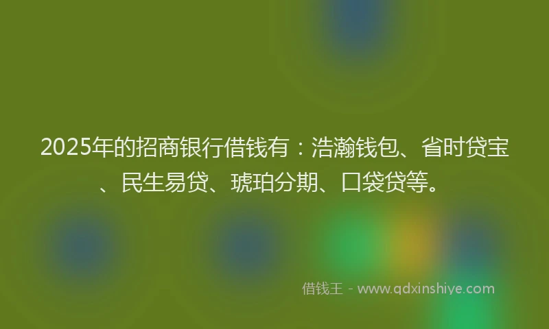 2025年的招商银行借钱有：浩瀚钱包、省时贷宝、民生易贷、琥珀分期、口袋贷等。