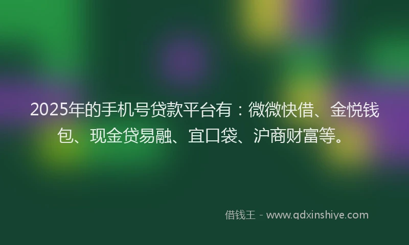2025年的手机号贷款平台有：微微快借、金悦钱包、现金贷易融、宜口袋、沪商财富等。