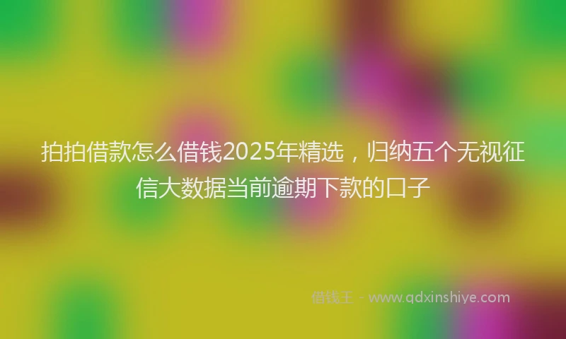 拍拍借款怎么借钱2025年精选，归纳五个无视征信大数据当前逾期下款的口子