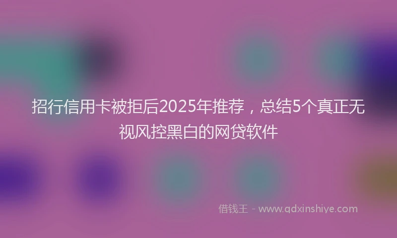 招行信用卡被拒后2025年推荐，总结5个真正无视风控黑白的网贷软件