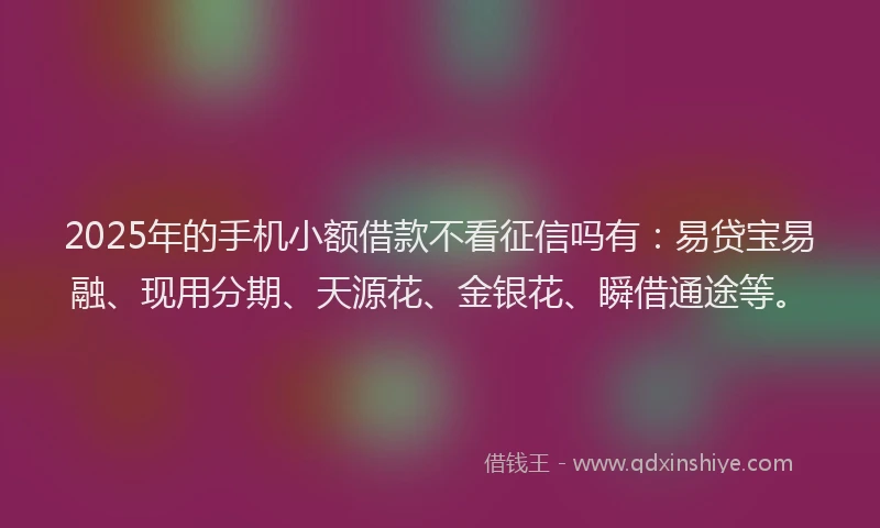 2025年的手机小额借款不看征信吗有：易贷宝易融、现用分期、天源花、金银花、瞬借通途等。