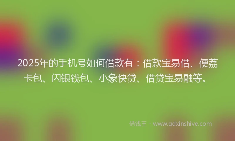 2025年的手机号如何借款有：借款宝易借、便荔卡包、闪银钱包、小象快贷、借贷宝易融等。