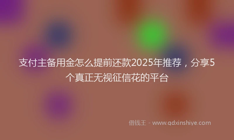 支付主备用金怎么提前还款2025年推荐，分享5个真正无视征信花的平台
