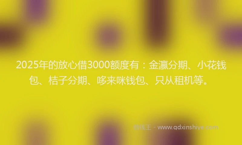 2025年的放心借3000额度有：金瀛分期、小花钱包、桔子分期、哆来咪钱包、只从租机等。