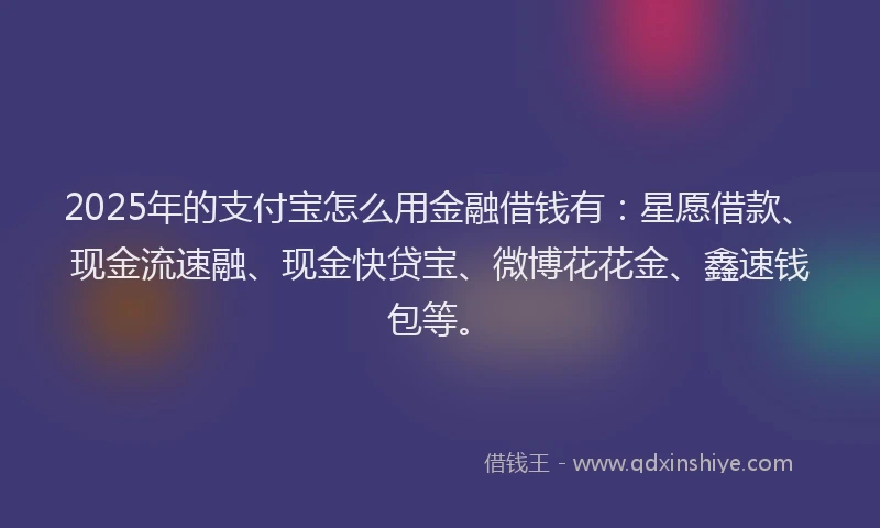 2025年的支付宝怎么用金融借钱有：星愿借款、现金流速融、现金快贷宝、微博花花金、鑫速钱包等。