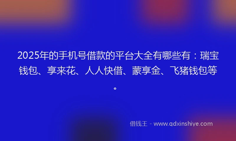 2025年的手机号借款的平台大全有哪些有：瑞宝钱包、享来花、人人快借、蒙享金、飞猪钱包等。