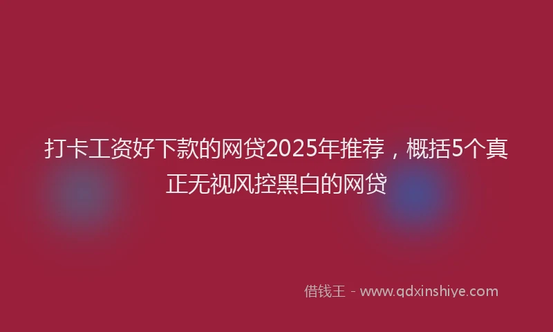 打卡工资好下款的网贷2025年推荐，概括5个真正无视风控黑白的网贷
