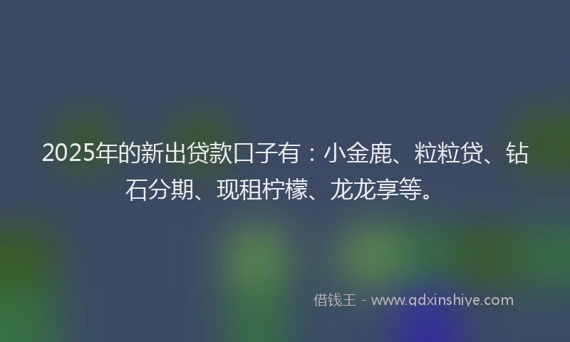 2025年的新出贷款口子有：小金鹿、粒粒贷、钻石分期、现租柠檬、龙龙享等。