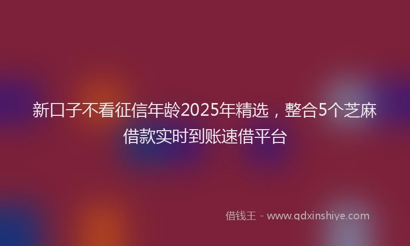 新口子不看征信年龄2025年精选，整合5个芝麻借款实时到账速借平台