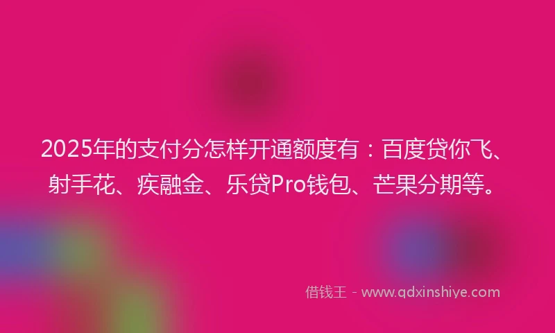 2025年的支付分怎样开通额度有：百度贷你飞、射手花、疾融金、乐贷Pro钱包、芒果分期等。