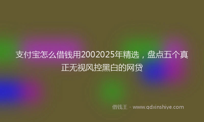 支付宝怎么借钱用2002025年精选，盘点五个真正无视风控黑白的网贷