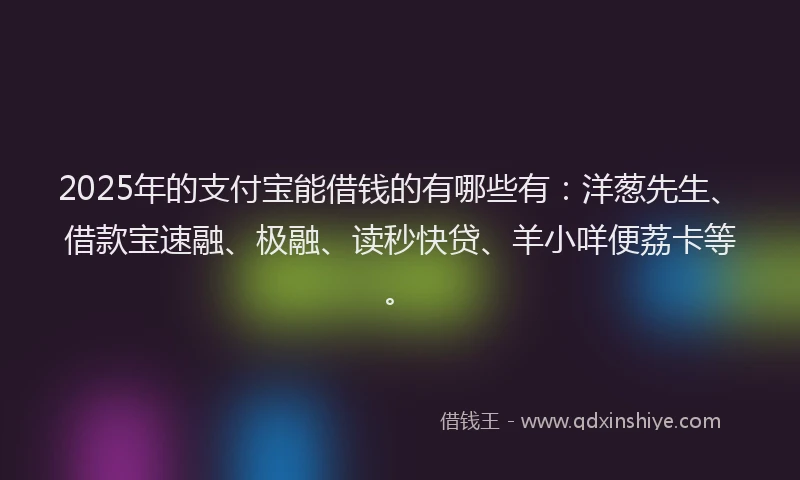 2025年的支付宝能借钱的有哪些有：洋葱先生、借款宝速融、极融、读秒快贷、羊小咩便荔卡等。