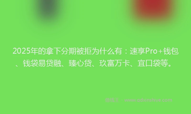 2025年的拿下分期被拒为什么有：速享Pro+钱包、钱袋易贷融、臻心贷、玖富万卡、宜口袋等。