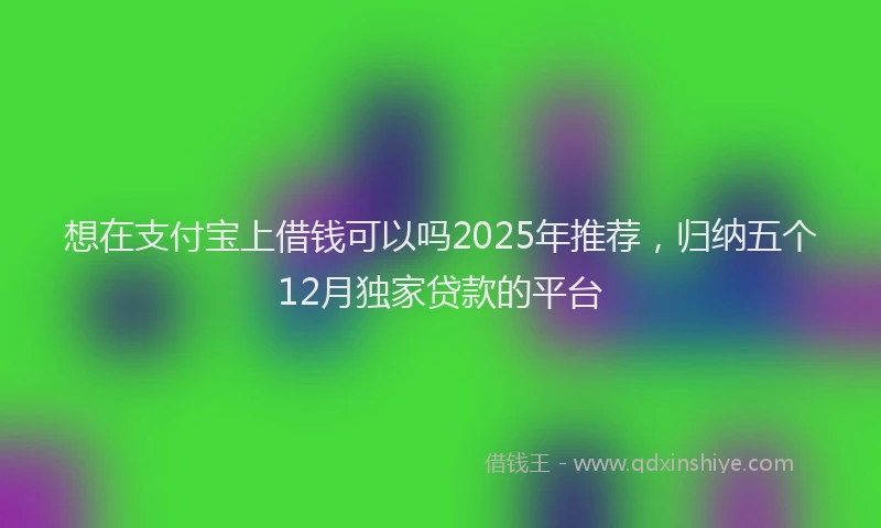 想在支付宝上借钱可以吗2025年推荐，归纳五个12月独家贷款的平台