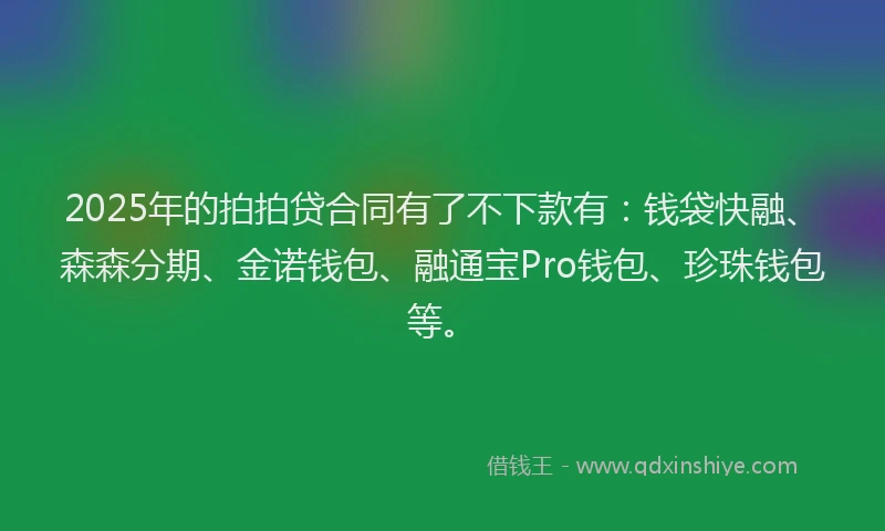 2025年的拍拍贷合同有了不下款有：钱袋快融、森森分期、金诺钱包、融通宝Pro钱包、珍珠钱包等。