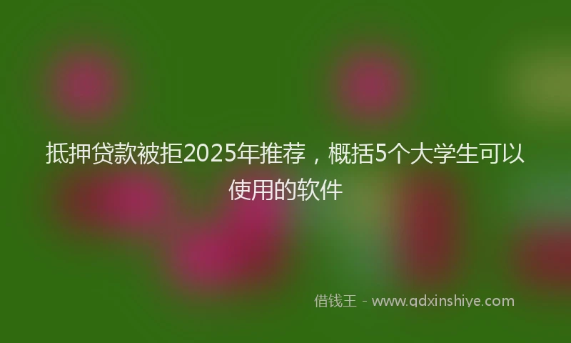 抵押贷款被拒2025年推荐，概括5个大学生可以使用的软件