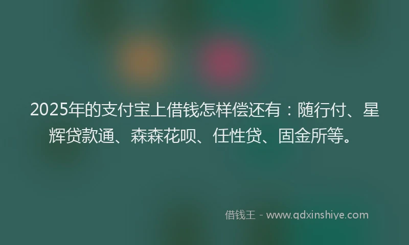 2025年的支付宝上借钱怎样偿还有：随行付、星辉贷款通、森森花呗、任性贷、固金所等。