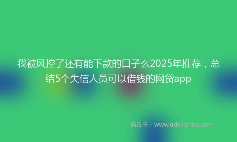 我被风控了还有能下款的口子么2025年推荐，总结5个失信人员可以借钱的网贷app